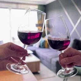 Gere ArteVino Apartman Villány - Egyéb