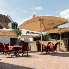 Vitis Hotel Villány - Medence/kert