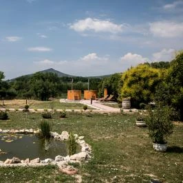 Vitis Hotel Villány - Medence/kert