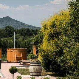 Vitis Hotel Villány - Medence/kert