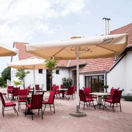 Vitis Hotel Villány - Medence/kert