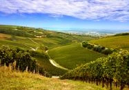 Villány - Ördögárok