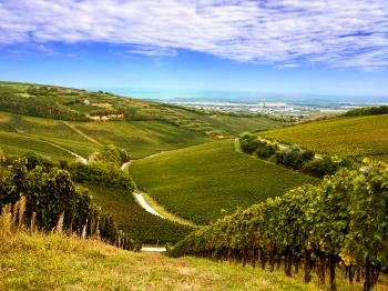 Ördögárok Villány