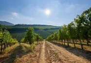 Ördögárok Villány