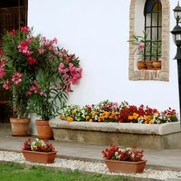 Flórián Vendégház Villánykövesd - Vendéglátás