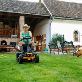 Flórián Vendégház Villánykövesd - Medence/kert