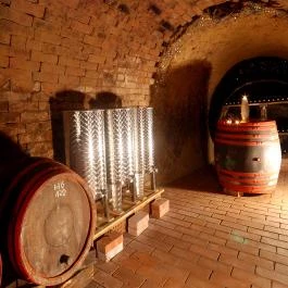 Flórián Vendégház Villánykövesd - Vendéglátás