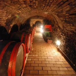 Flórián Vendégház Villánykövesd - Vendéglátás