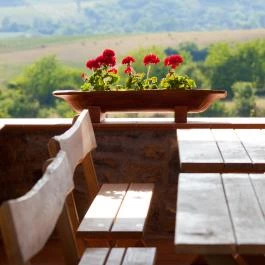 Öreghegyi Apartmanok Vindornyalak - Egyéb