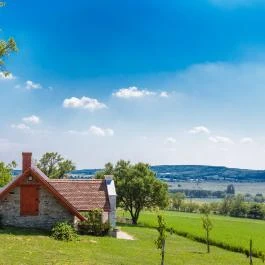 Öreghegyi Apartmanok Vindornyalak - Medence/kert