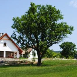 Öreghegyi Apartmanok Vindornyalak - Külső kép