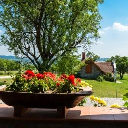 Öreghegyi Apartmanok Vindornyalak - Egyéb