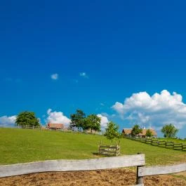 Öreghegyi Apartmanok Vindornyalak - Környék