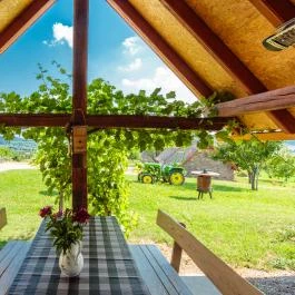 Öreghegyi Apartmanok Vindornyalak - Medence/kert