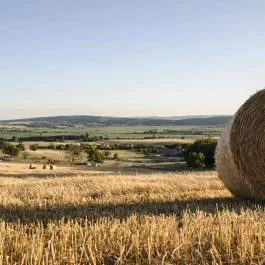 Öreghegyi Apartmanok Vindornyalak - Környék