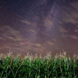 Öreghegyi Apartmanok Vindornyalak - Egyéb
