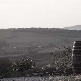 Öreghegyi Apartmanok Vindornyalak - Egyéb