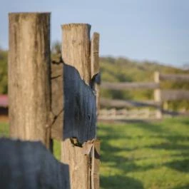 Öreghegyi Apartmanok Vindornyalak - Egyéb