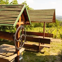 Öreghegyi Apartmanok Vindornyalak - Környék