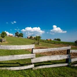 Öreghegyi Apartmanok Vindornyalak - Környék