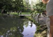 Ördögmalom Erdei Étterem Visegrád Ördögmalom Erdei Étterem Visegrád