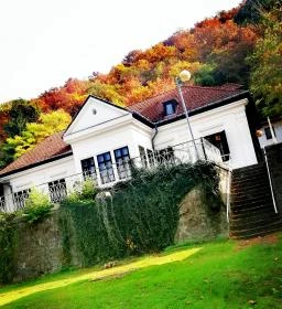 Ezüstfenyő Üdülő