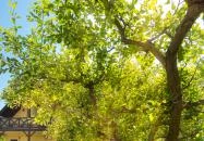 Honti Panzió Visegrád Honti Panzió Visegrád