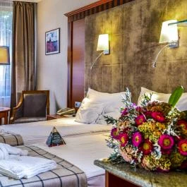 Silvanus Wellness & Konferencia Hotel Visegrád - Szobák