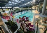 Hotel Visegrád Visegrád Hotel Visegrád Visegrád