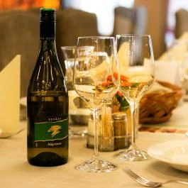 Hotel Visegrád Visegrád - Vendéglátás