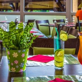 Patak Park Hotel Visegrád - Vendéglátás