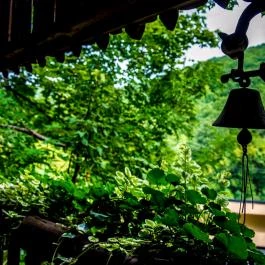 Patak Park Hotel Visegrád - Medence/kert