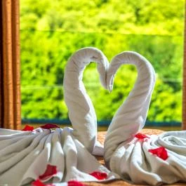 Patak Park Hotel Visegrád - Egyéb