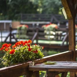 Patak Park Hotel Visegrád - Medence/kert