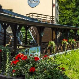 Patak Park Hotel Visegrád - Medence/kert