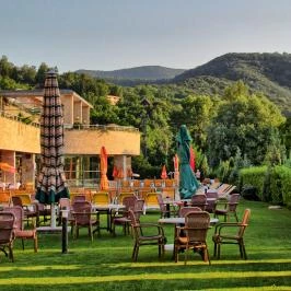 Thermal Hotel Visegrád Visegrád - Medence/kert