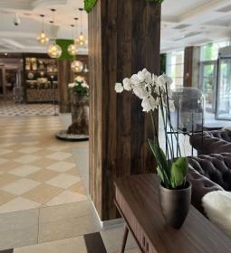 Thermal Hotel Visegrád