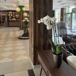 Thermal Hotel Visegrád Visegrád - Belső