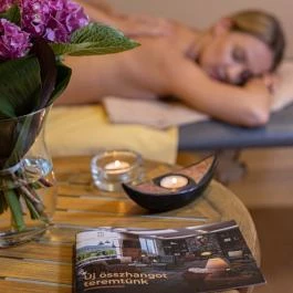 Thermal Hotel Visegrád Visegrád - Wellness