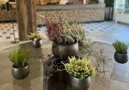 Thermal Hotel Visegrád Visegrád