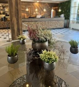 Thermal Hotel Visegrád