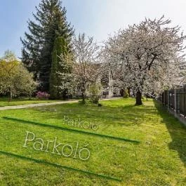 Visegrád Vendégház Visegrád - Medence/kert