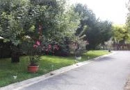 Bujtor Apartman Vonyarcvashegy