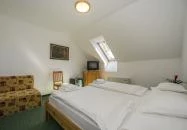 Zenit Hotel Vendégház Vonyarcvashegy