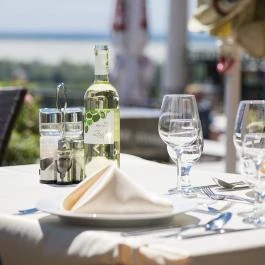 Zenit Hotel Vendégház Vonyarcvashegy - Vendéglátás