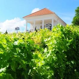 Zenit Hotel Vendégház Vonyarcvashegy - Medence/kert