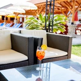 Villa Plattensee Vonyarcvashegy - Vendéglátás