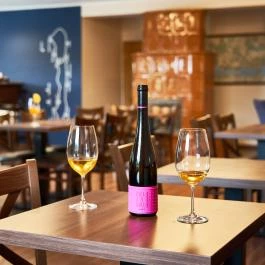 Villa Plattensee Vonyarcvashegy - Vendéglátás