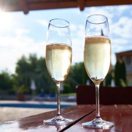 Villa Plattensee Vonyarcvashegy - Vendéglátás