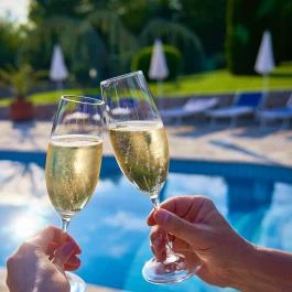 Villa Plattensee Vonyarcvashegy - Vendéglátás